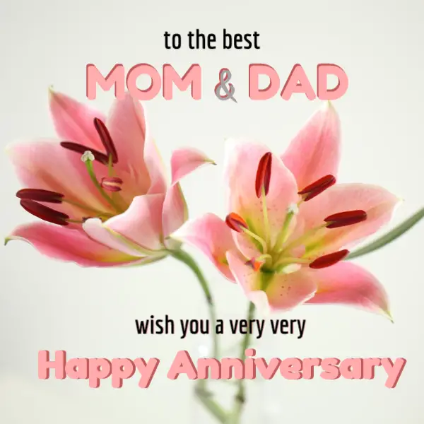  Wedding  Anniversary  Wishes Images  for Your Parents 